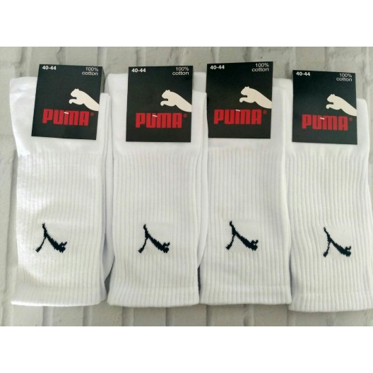 Чоловічі шкарпетки Теніска (бавовна) PUMA